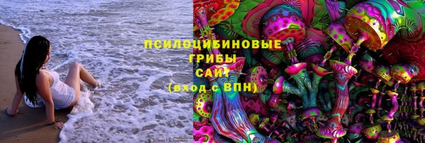 бутират Инсар